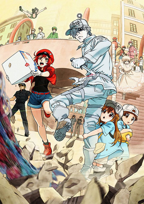 hataraku saibou เซลล์ขยัน พันธุ์เดือด (ภาค1)