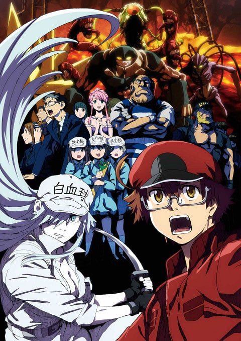 Hataraku Saibou Black เซลล์ขยัน พันธุ์เดือด แบล็ค ซับไทย [จบแล้ว]
