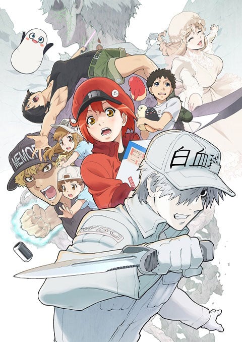 Hataraku Saibou 2 เซลล์ขยัน พันธุ์เดือด (ภาค2) ซับไทย [จบแล้ว]