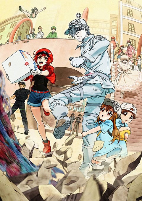 Hataraku Saibou เซลล์ขยัน พันธุ์เดือด (ภาค1) ซับไทย [จบแล้ว]